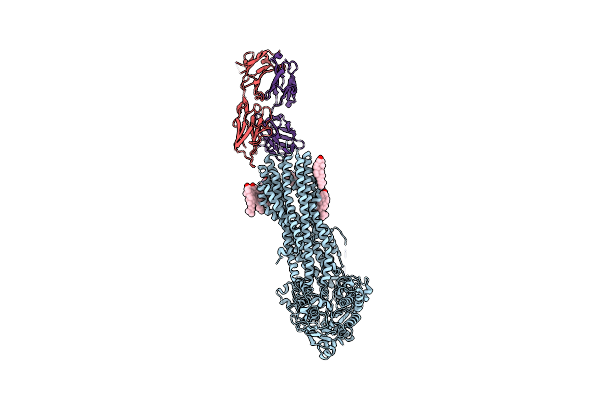 7A65 image