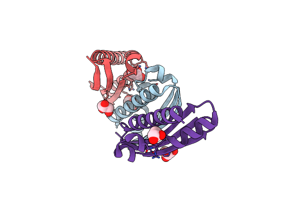 7A66 image