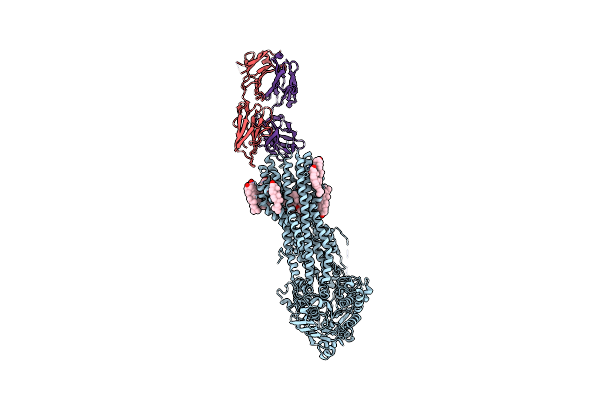 7A69 image
