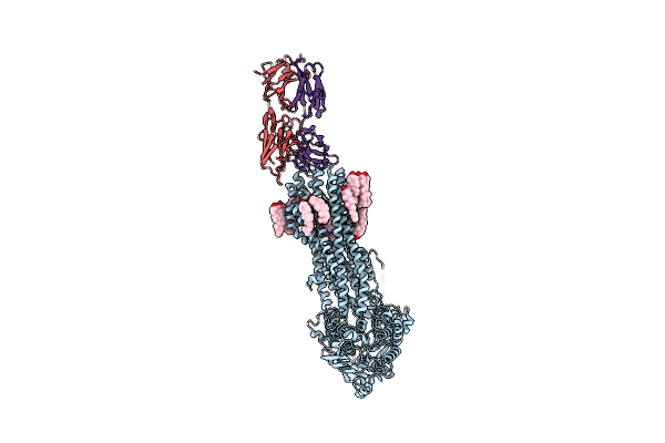 7A6E image