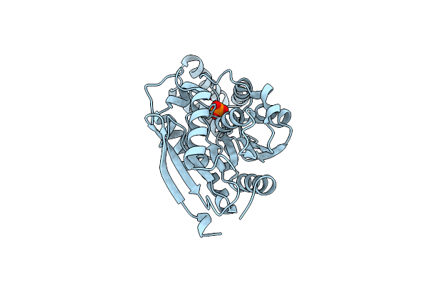 7A6G image