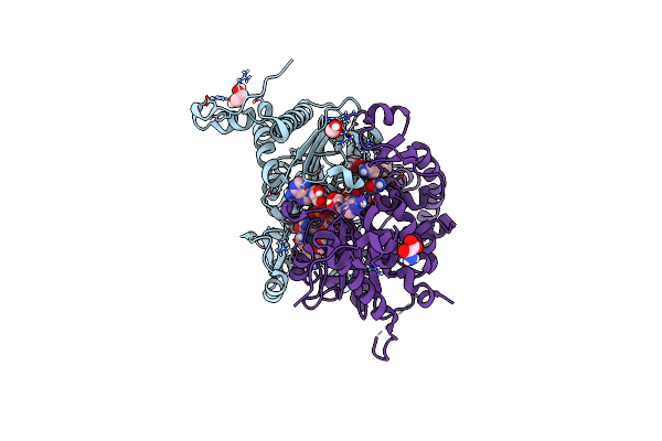 7A6T image