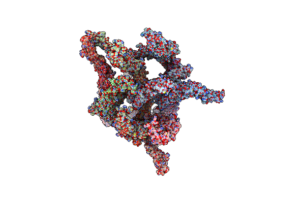 7A7D image