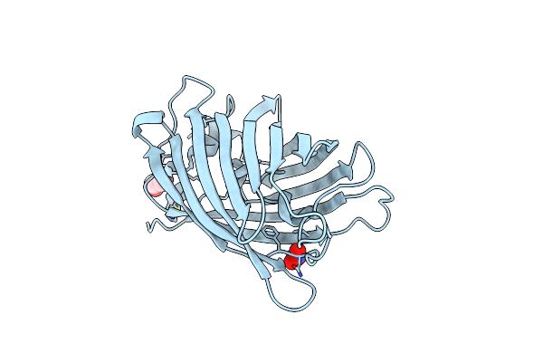 7A7P image
