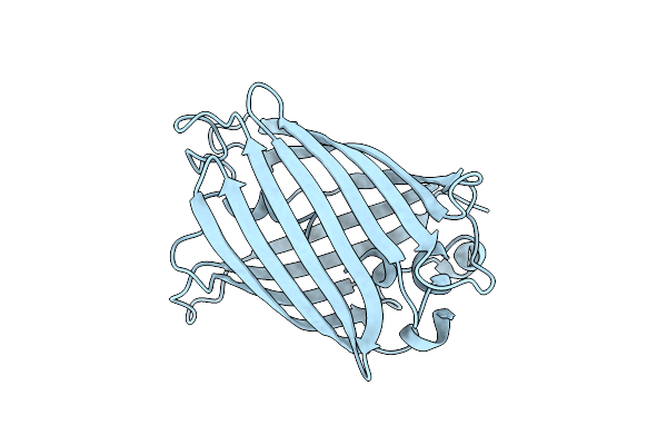 7A7Z image