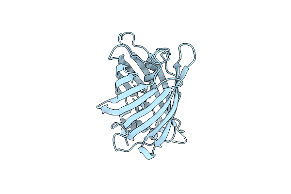 7A81 image