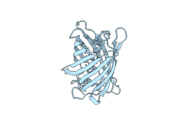7A82 image