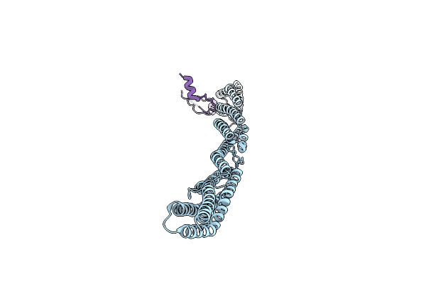 7A8T image