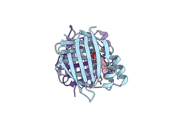 7A9Z image