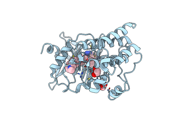 7AAZ image