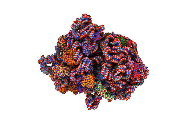 7AC7 image