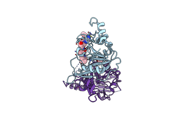 7ACD image