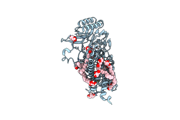 7ACI image