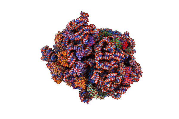 7ACJ image