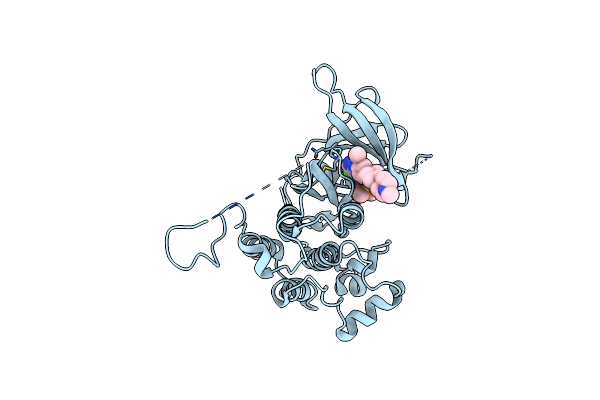 7AEM image