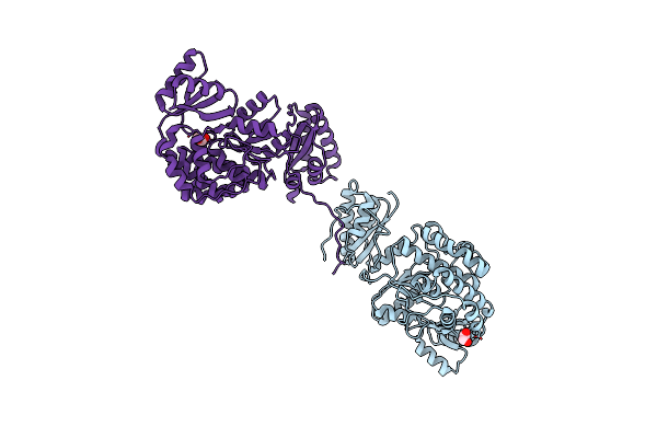 7AGP image