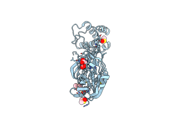 7AHA image