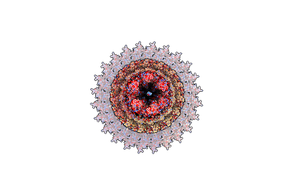 7AHI image