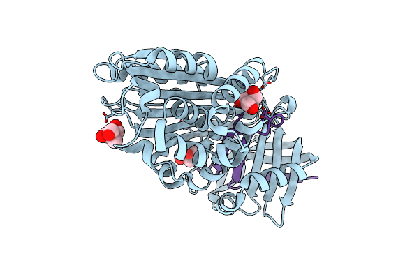 7AHP image