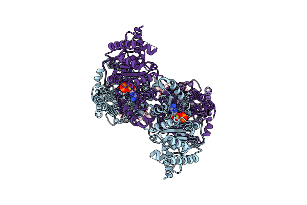 7AIP image