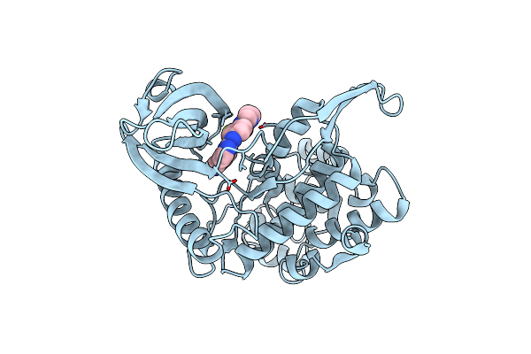 7AK3 image
