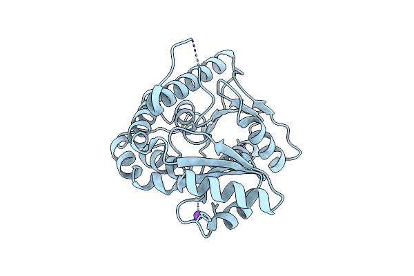 7AKC image