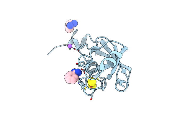 7AKT image