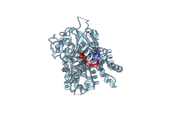 7ALV image