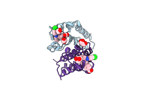 7AMC image