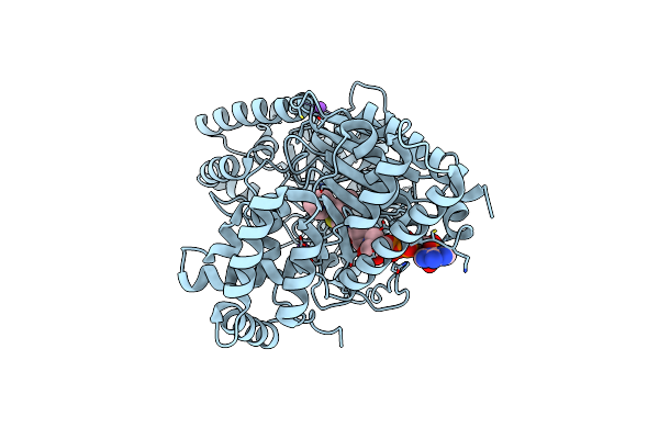 7AMD image