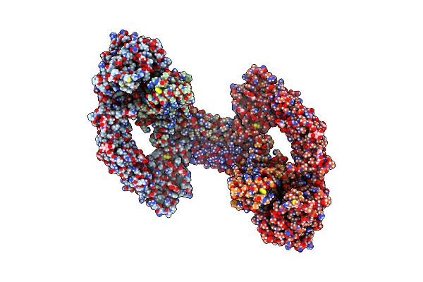7AML image