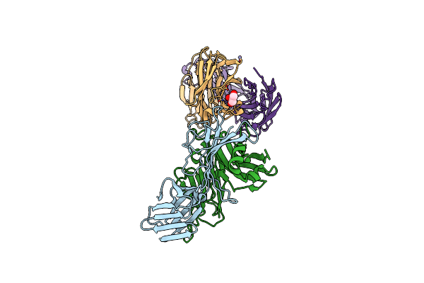 7AMP image