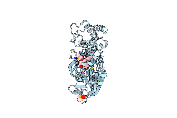 7ANS image