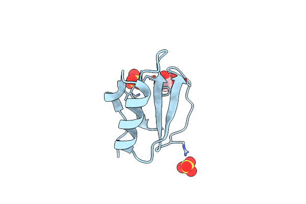 7AON image