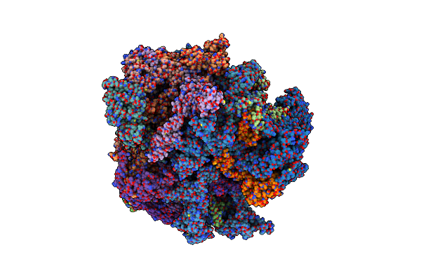 7AOR image