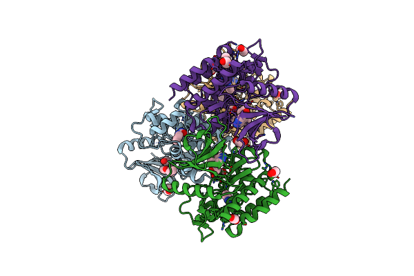 7APG image