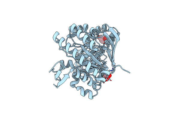 7APL image