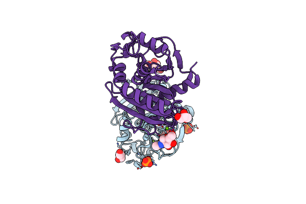 7APN image