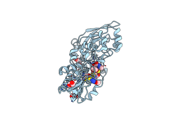 7APV image