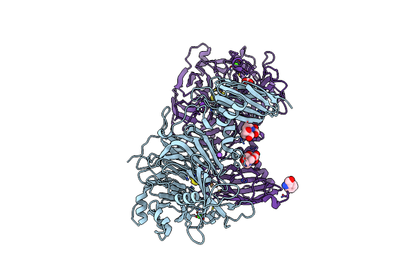 7AQA image
