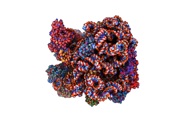 7AQC image
