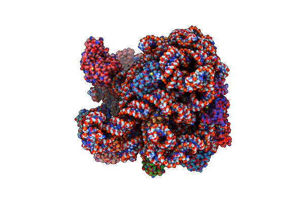 7AQD image