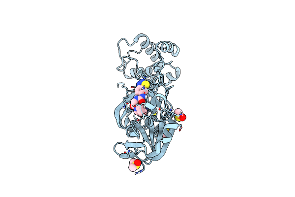 7AQE image