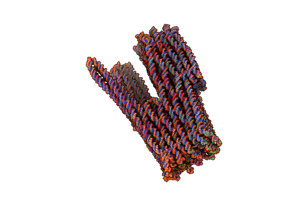 7ARV image