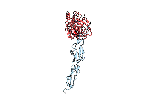 7ARX image