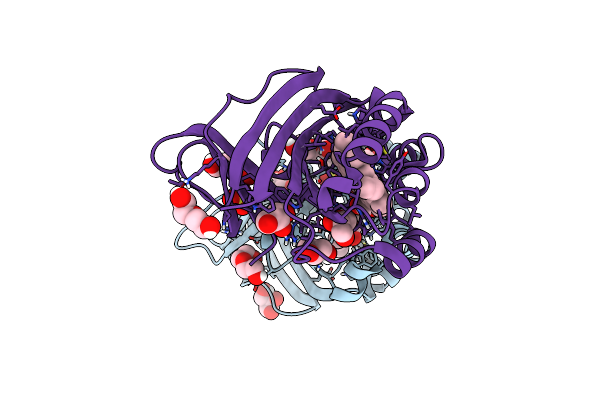 7ASB image