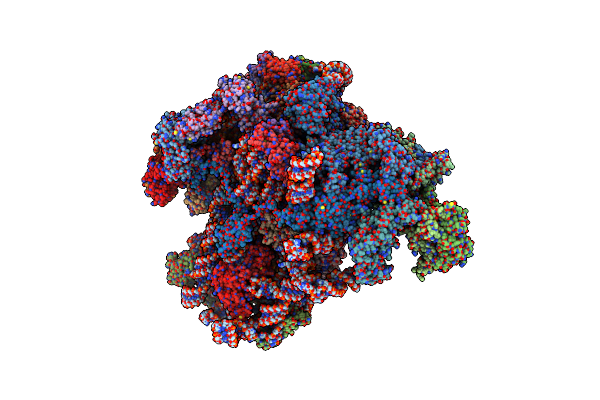 7ASE image