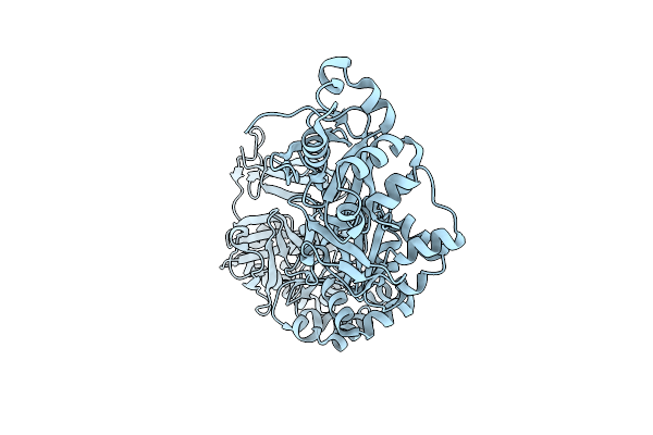 7ASG image