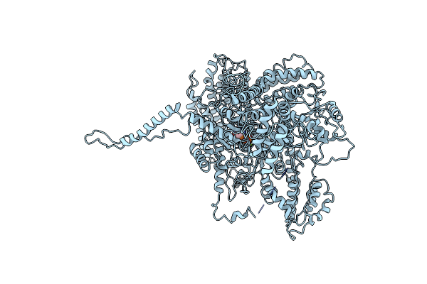 7ASK image
