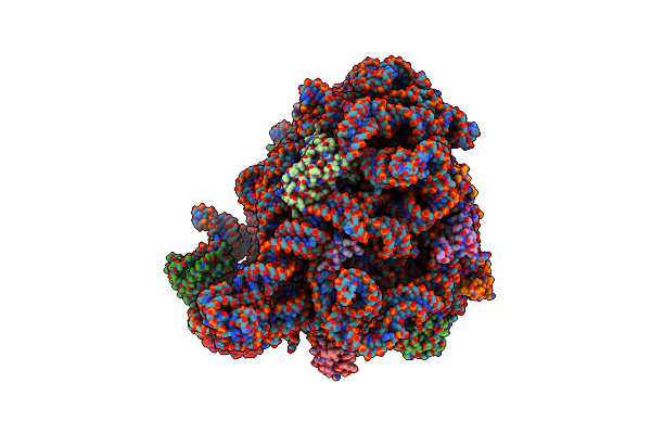 7ASM image